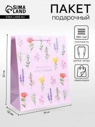 Пакет подарочный ламинированный «Время для себя» 26×12×32 см