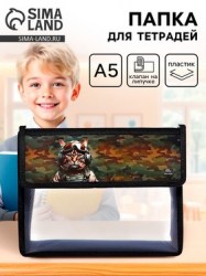 Папка для тетрадей, А5, пластиковая, 23×19×5 см Кот камуфляж