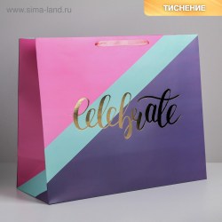 Пакет ламинированный Celebrate, XL 49 × 40 × 19 см   
