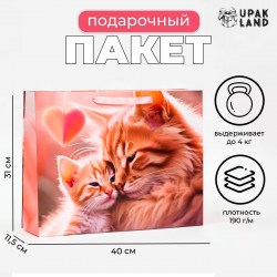 Пакет ламинированный горизонтальный Котики, 40 х 31 х 11,5 см