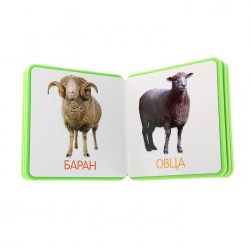 Мой первый словарик Домашние животные (EVA). Автор: Краснушкина Е.Е.