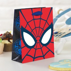 Пакет Ты- супергерой Человек-паук, 31 х 40 х 11 см