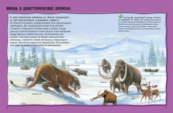 Энциклопедия для детей Все о динозаврах