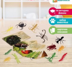 Набор животных с обучающими карточками В мире насекомых, животные пластик, карточки, по методике М