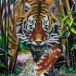 Алмаз. мозаика 20х20 см, без подр. (23 цв.) "Красивый тигр."