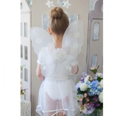 Карнавальный набор «Маленькая фея», 4 предмета: юбка, крылья, ободок, жезл, 3-4 года
