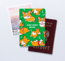 Обложка для паспорта Паспорт хорошего мальчика 
