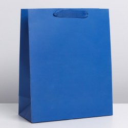 Пакет ламинированный Синий, M 26 × 32 × 12 см
