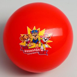Мяч детский Paw Patrol "Команда", 16 см
