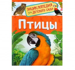 Энциклопедия для детского сада «Птицы», Гальцева С. Н.