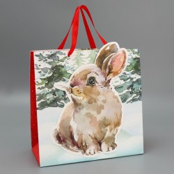 Пакет подарочный «Зайчик», 30 × 30 × 15 см
