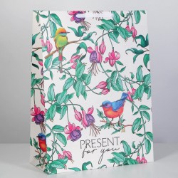 Пакет подарочный ламинированный вертикальный, упаковка Present for you 61 х 46 х 20 см