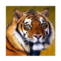 Алмаз. мозаика  20х20 см, c подр. (24 цв) "Бенгальский тигр"